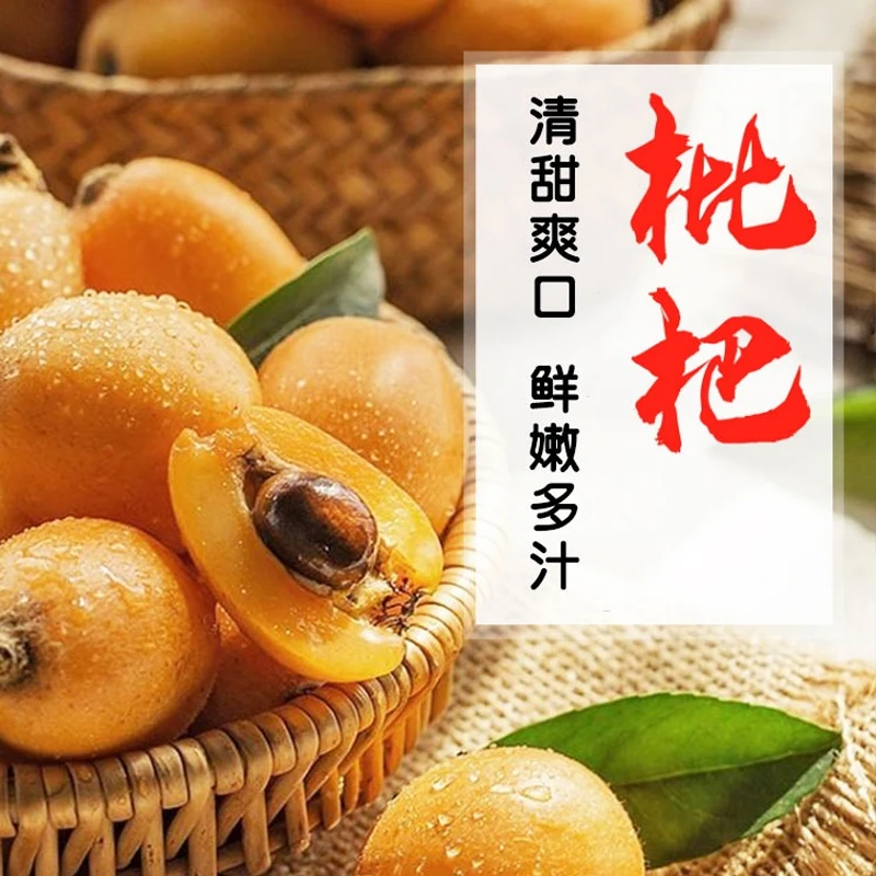 云南枇杷盒装250g±25g