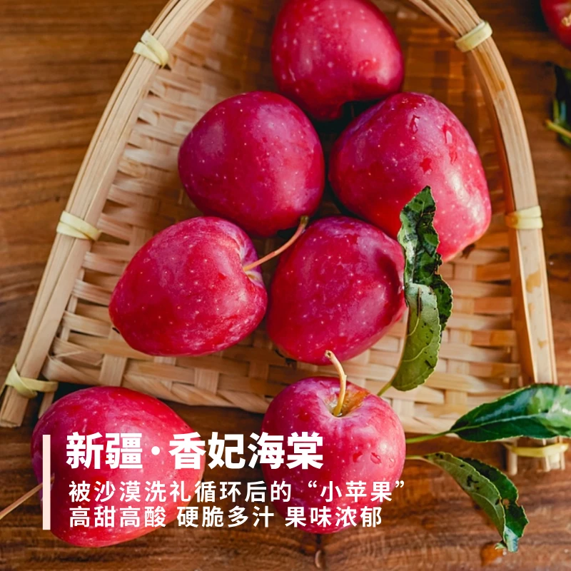 香妃海棠 新疆小苹果鸡心果 高甜高酸滋味足硬脆多汁 3斤装35g起