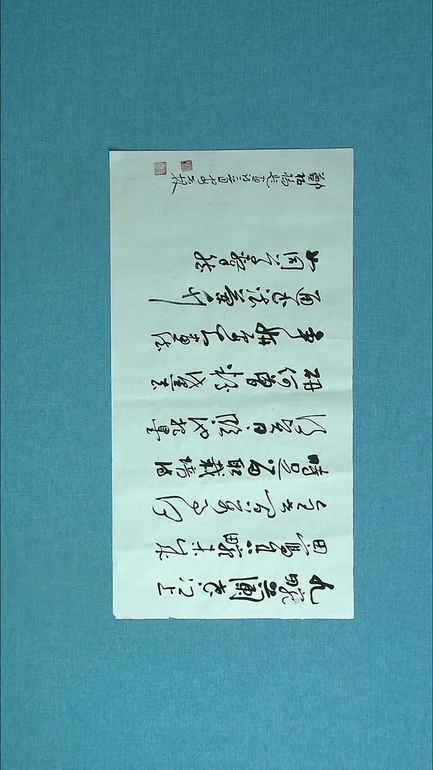 【闪购商品】书法219 甘肃安世林中书协69*34