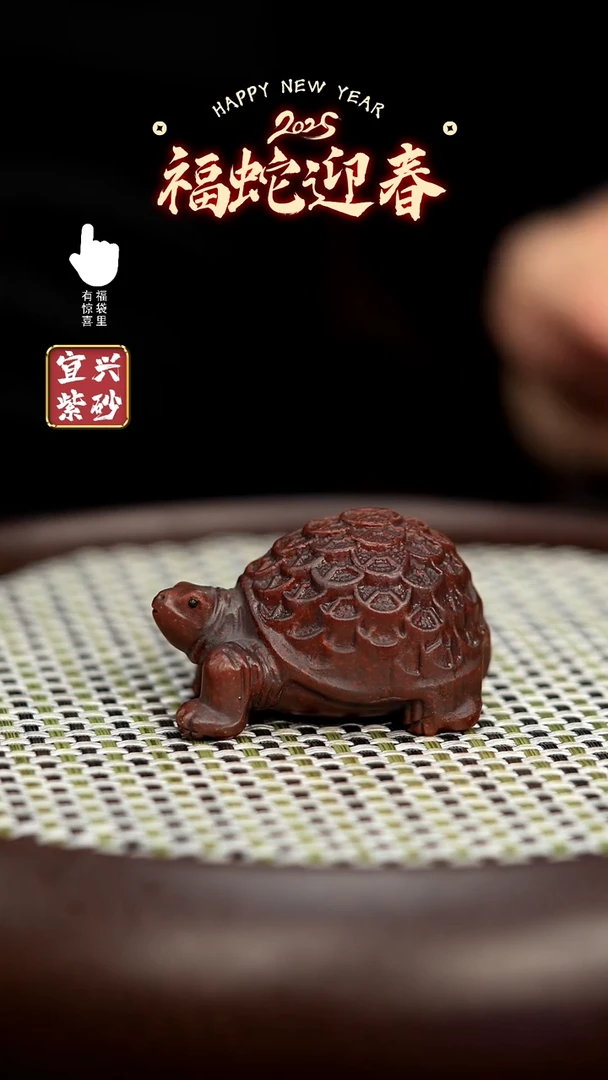 【闪购商品】茶宠金钱龟金钱龟金钱龟金钱龟