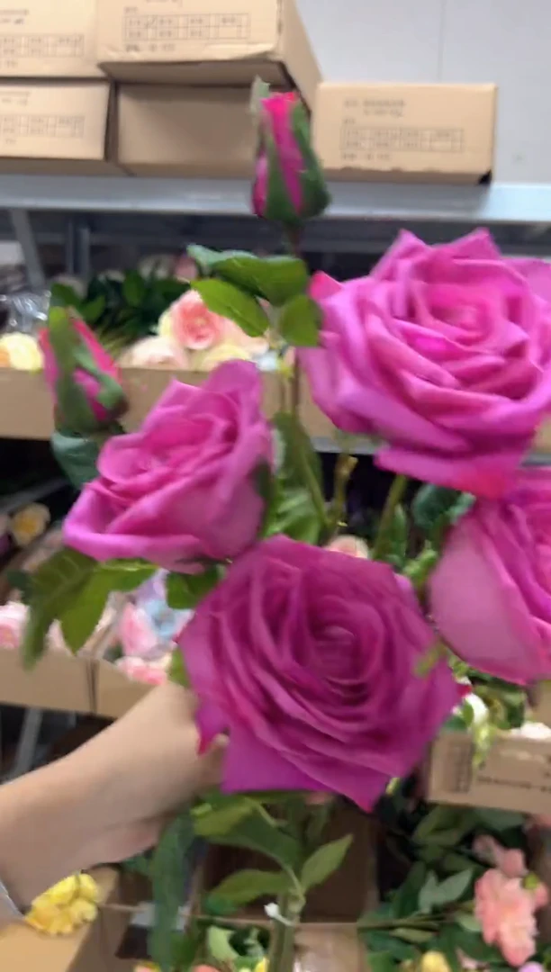 2枝玫红色手感保湿可可香