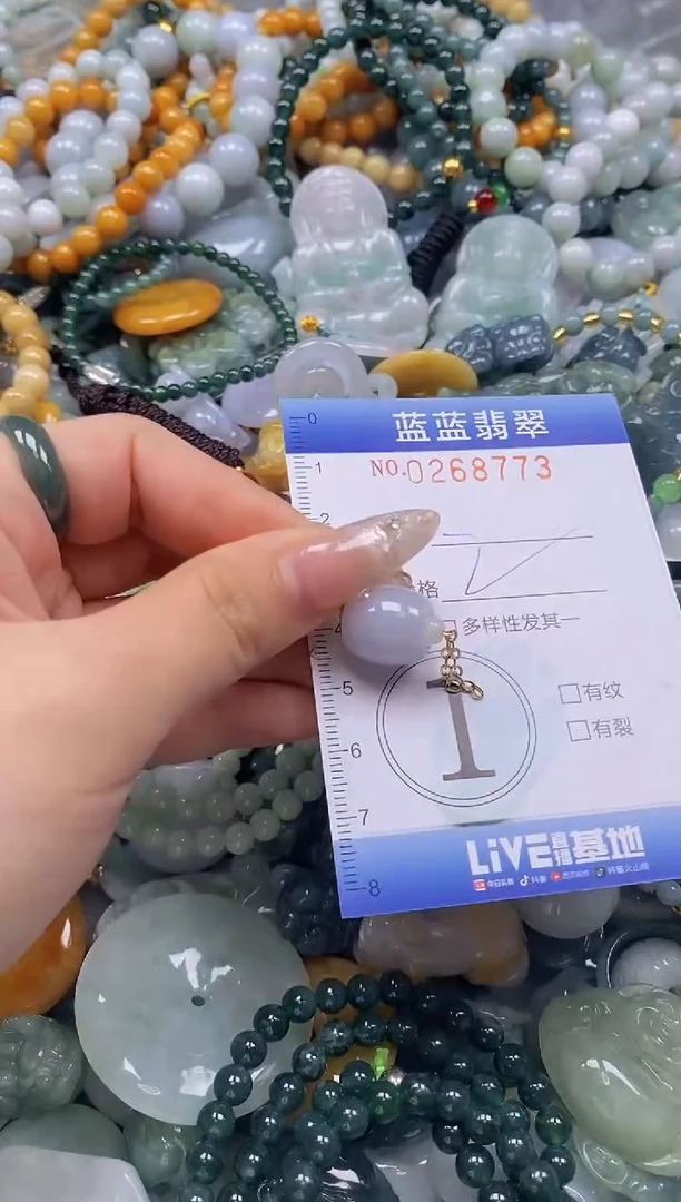 翡翠未镶嵌颈饰闪购0268773