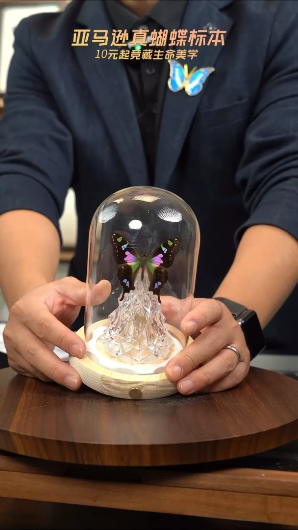 玫瑰青凤蝶圣诞玻璃罩