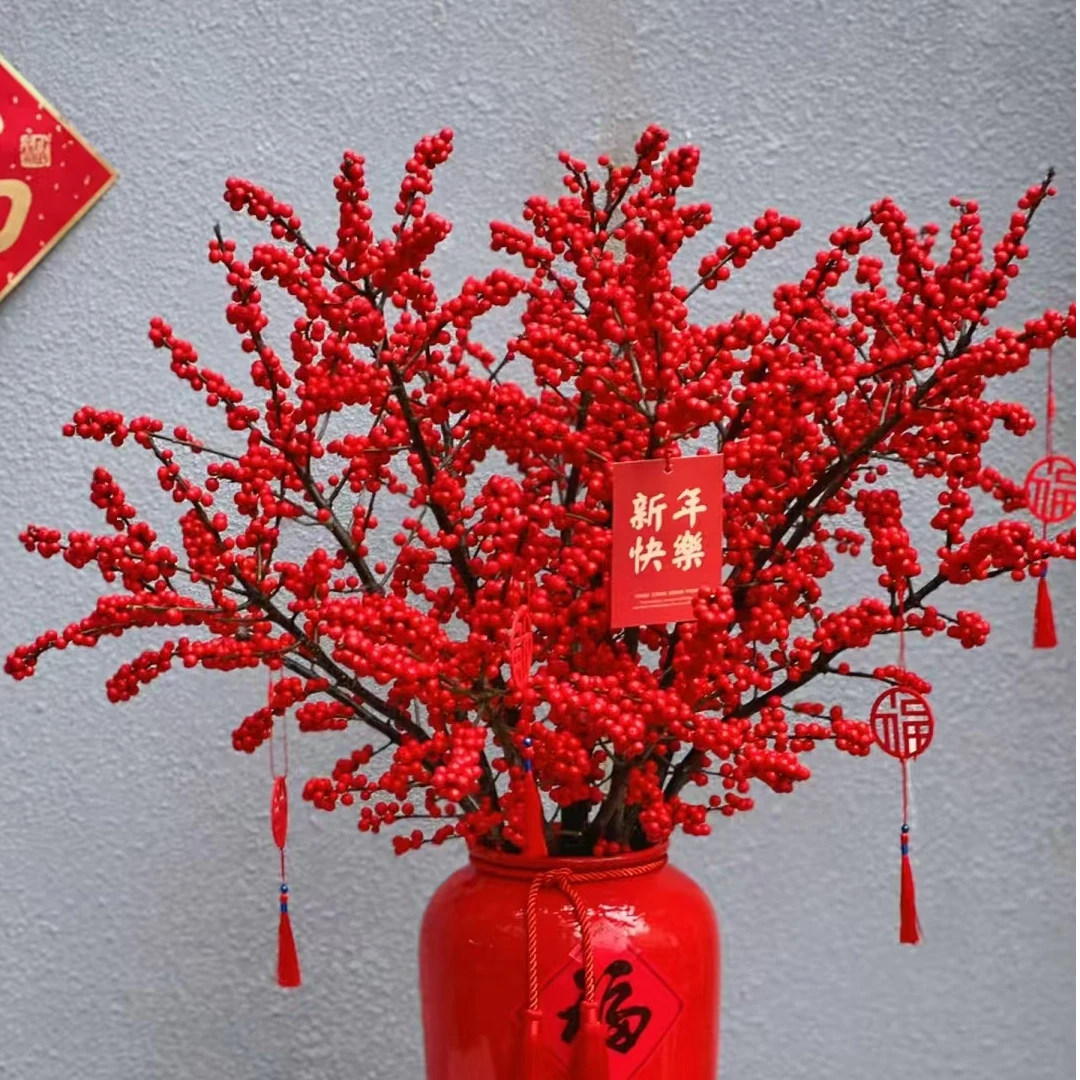 【北美冬青】大花绿植物盆栽年宵花秋冬带花苞