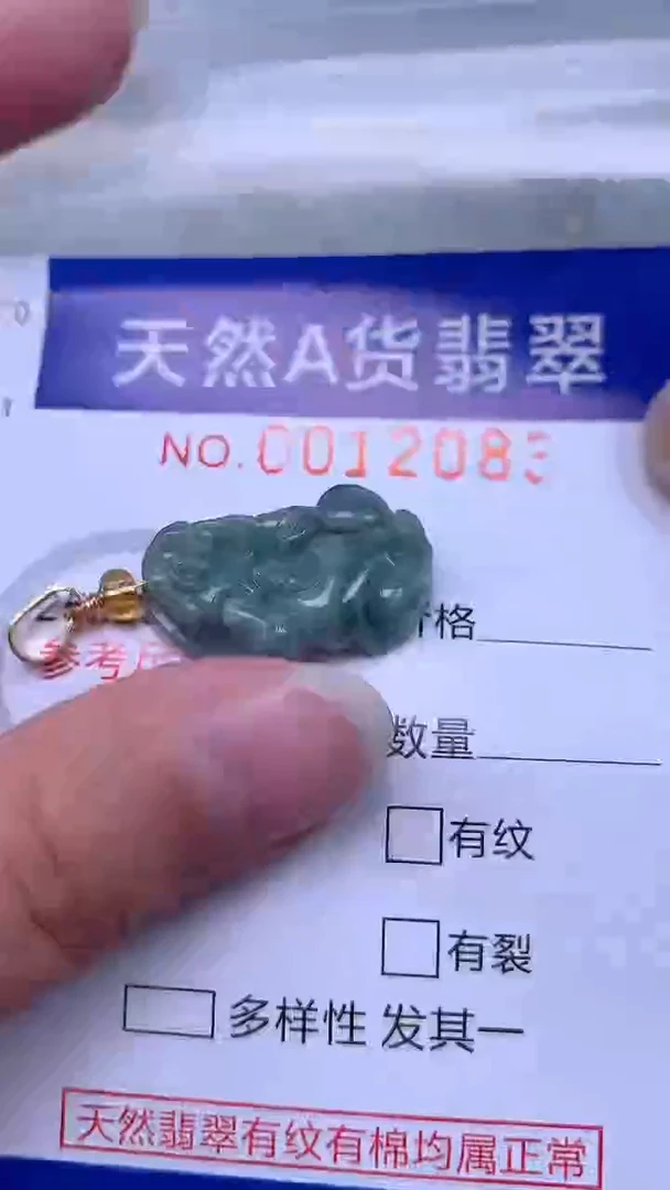 翡翠未镶嵌吊坠(不含链)1