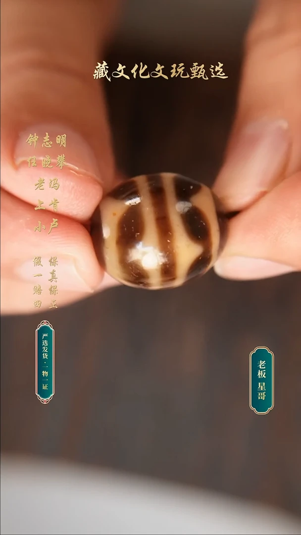 未镶嵌颈饰玛瑙/玉髓上肯牙黄5a双牙牙20.6*17.3