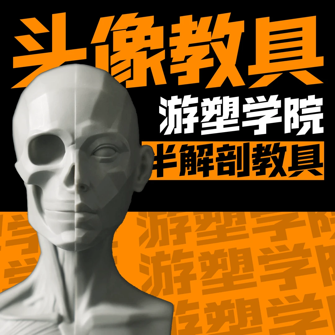 游塑学院亚洲女肌肉骨骼艺术雕刻扫描3d模型zb人头树脂美术室教具