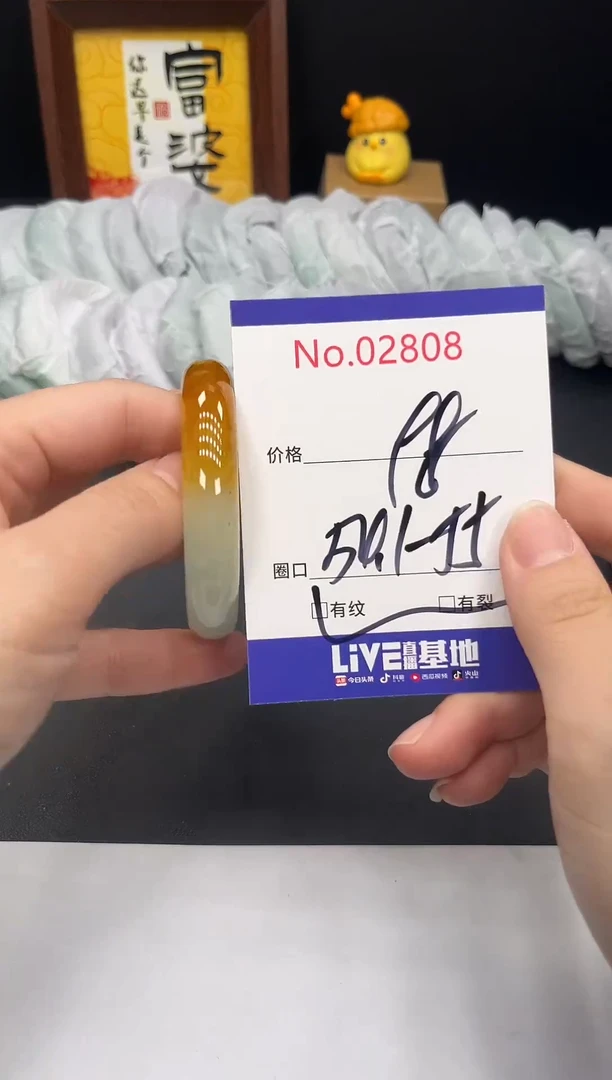 未镶嵌手镯翡翠拍下以实物为准2808
