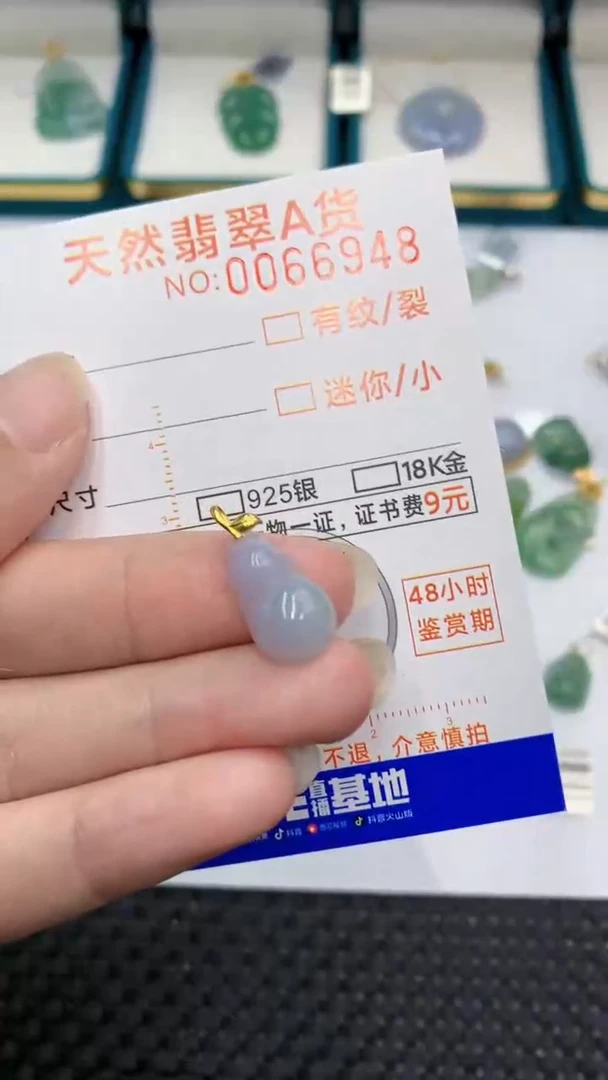 【闪购商品】翡翠颈饰18K金镶嵌            8