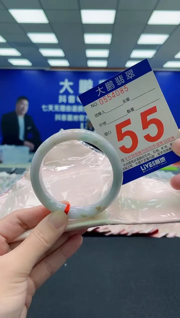 未镶嵌手镯翡翠AAAAAAAAA