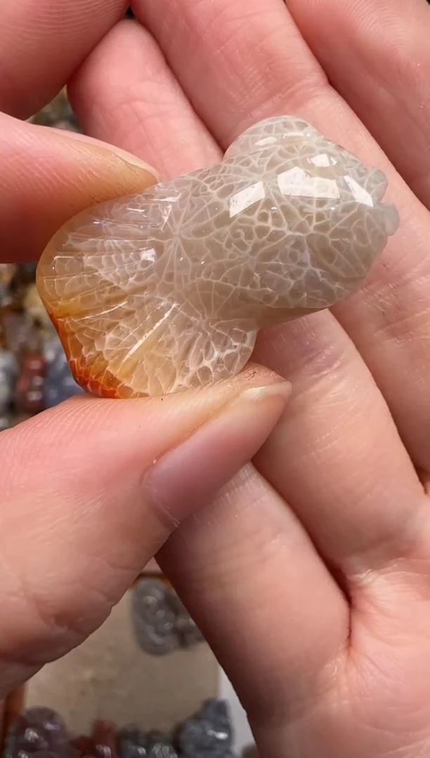 硅化珊瑚（珊瑚玉）未镶嵌颈饰114