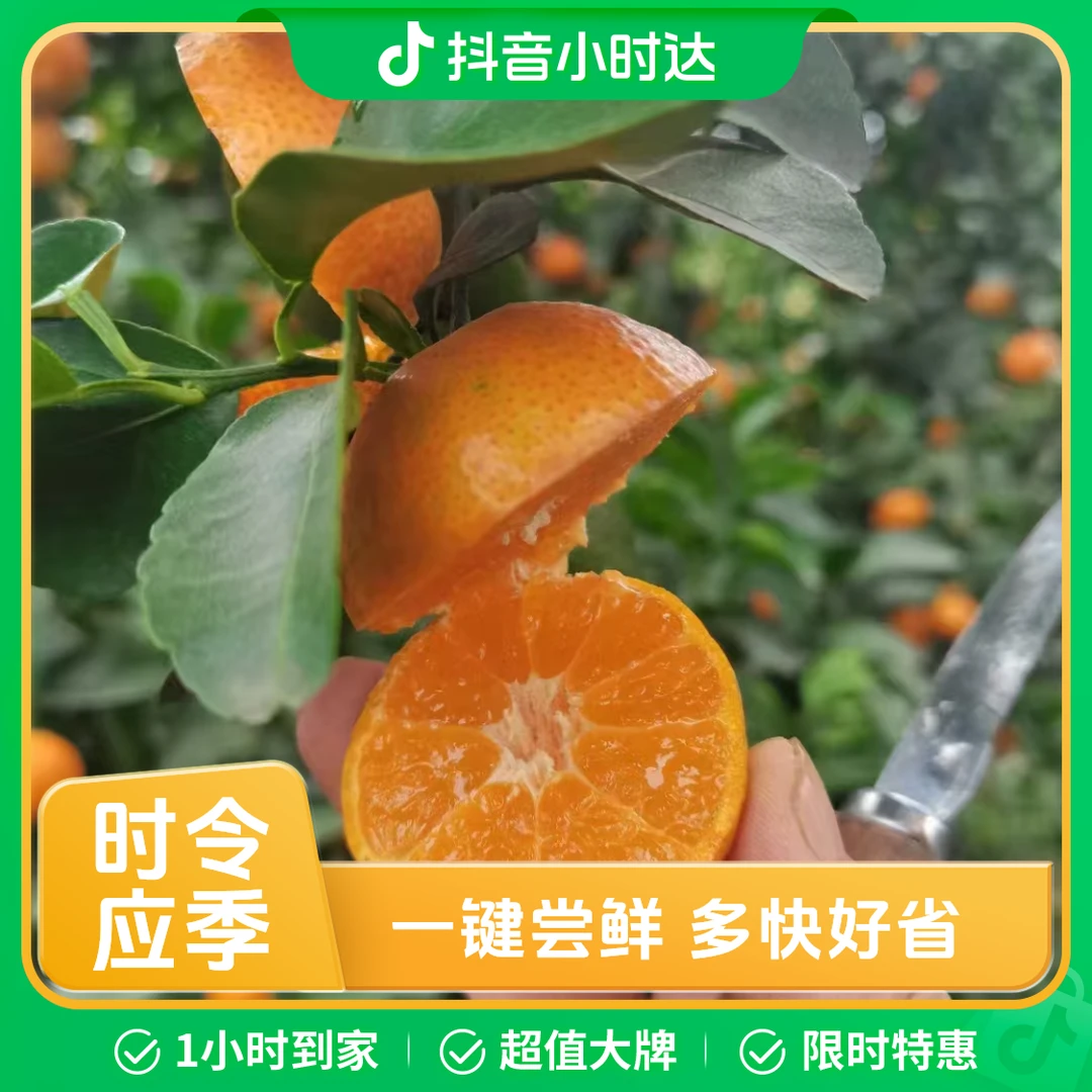 广西纯甜砂糖橘500g