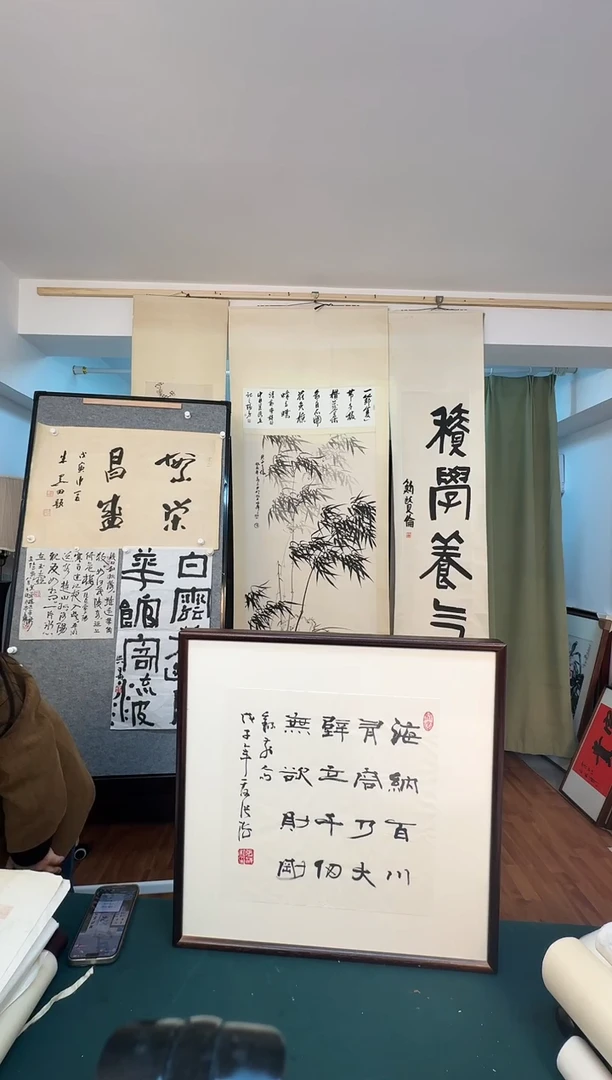 国画观***?老师手写手绘作品