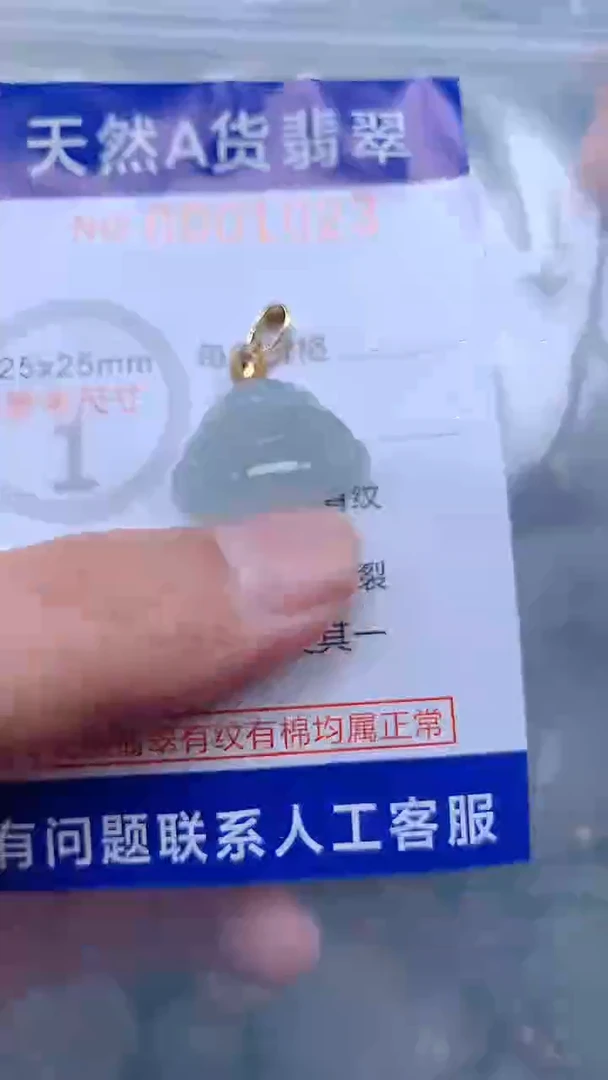 翡翠未镶嵌吊坠(不含链)1