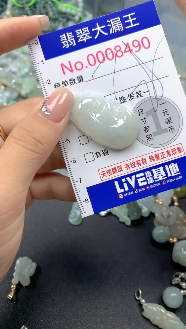 颈饰未镶嵌翡翠8490