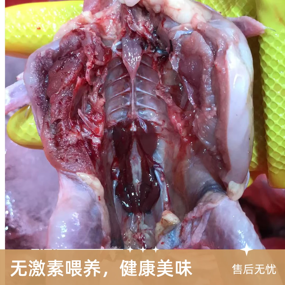 《同城配送》鹌鹑5只1斤2左右