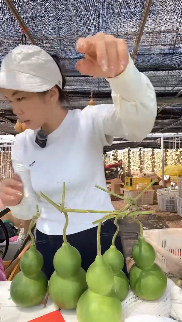 604天然葫芦摆件 一物一拍龙头不保售后