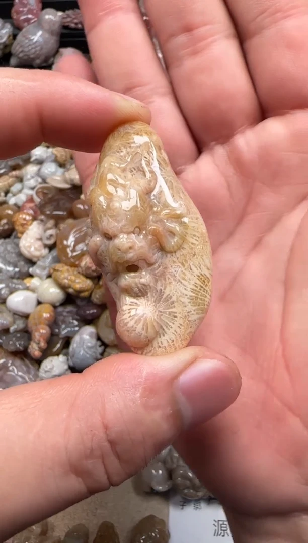 【闪购商品】硅化珊瑚（珊瑚玉）颈饰未镶嵌057