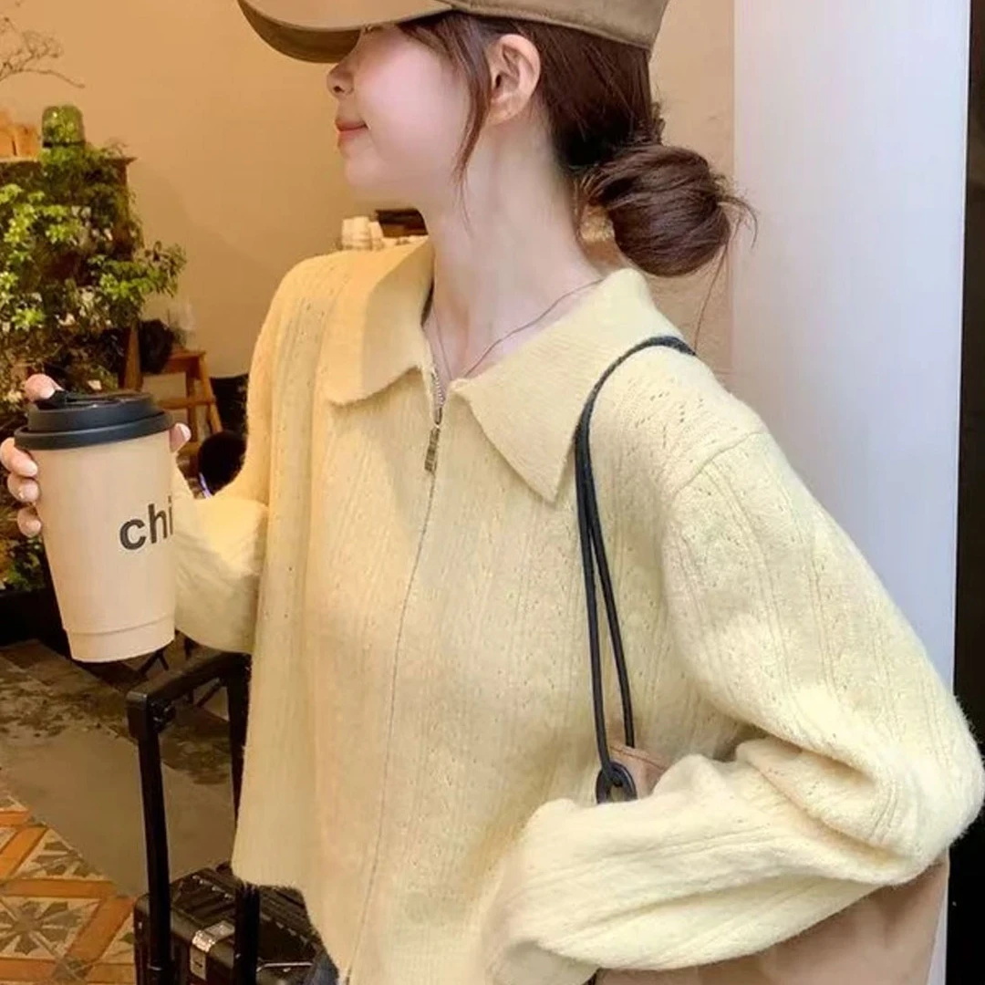 法式复古拉链翻领毛衣外套女秋季穿搭奶呼呼软糯宽松针织开衫上衣