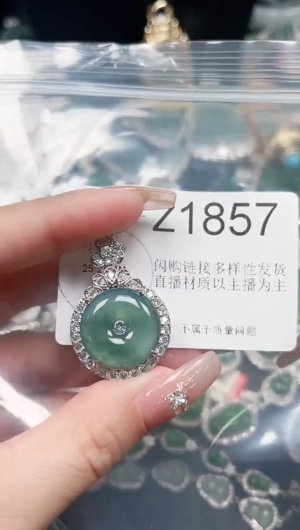【闪购商品】翡翠颈饰未镶嵌赠皮绳1857