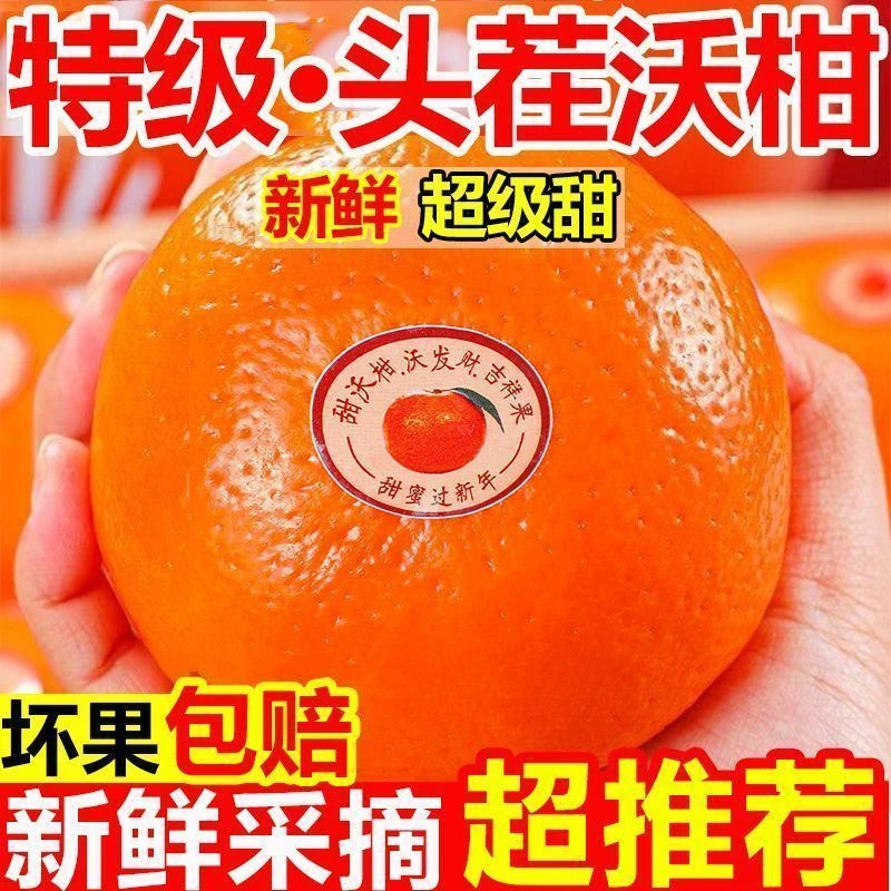 新鲜采摘正宗广西产地直发新鲜现摘沃柑应季水果多汁口感丰富多汁