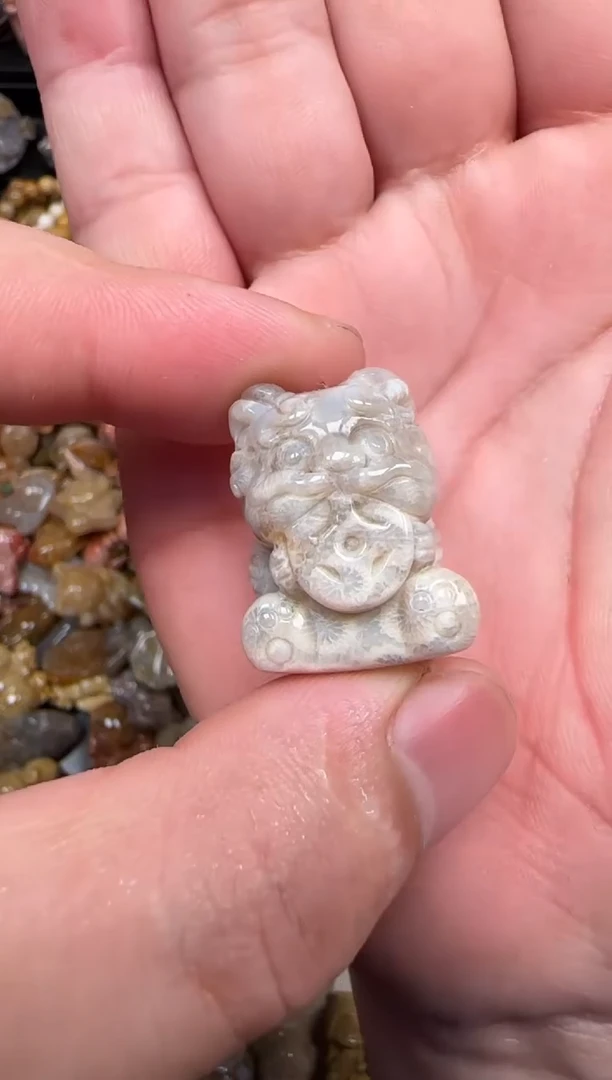 颈饰未镶嵌硅化珊瑚（珊瑚玉）647