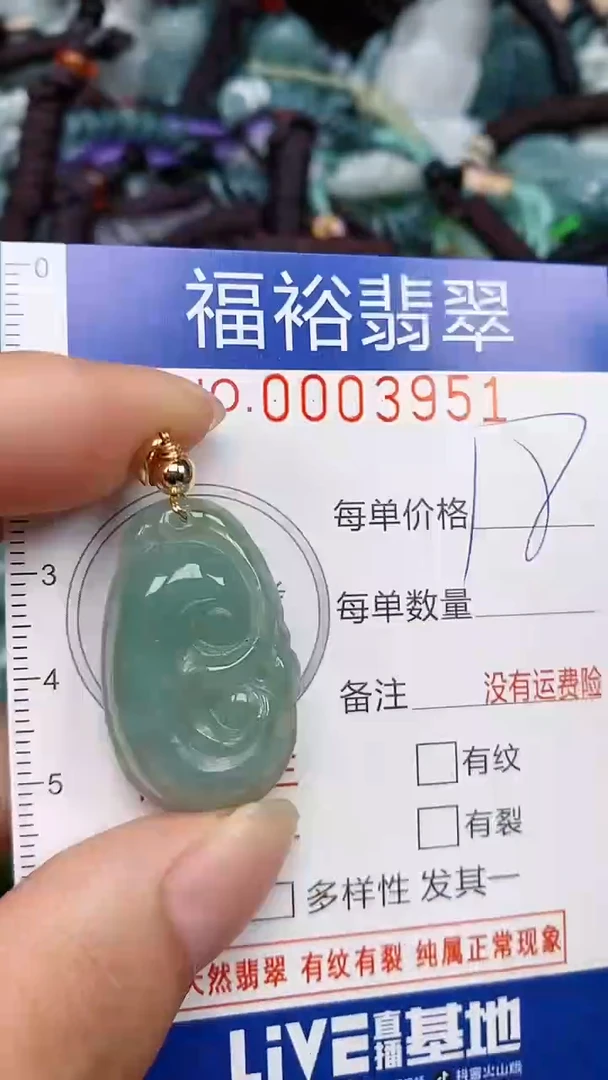 翡翠未镶嵌颈饰...0003951