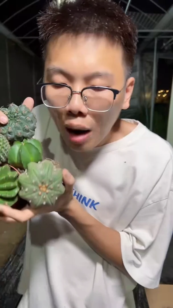 金刚彩草+兜+鸾凤玉+绯花玉+玉翁