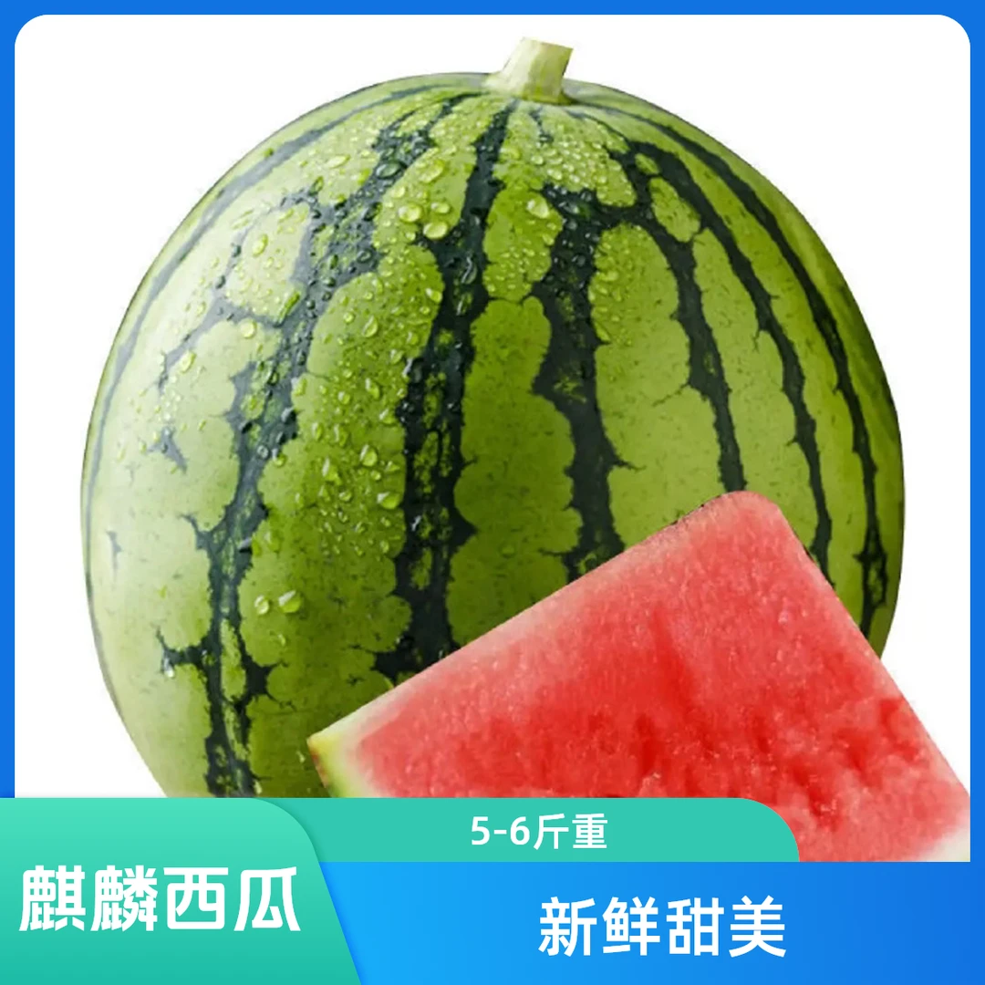 麒麟西瓜5-6斤左右1个