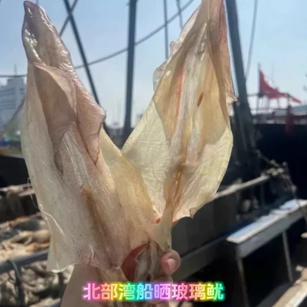 北海特产正宗船上穿孔本地生晒鱿鱼