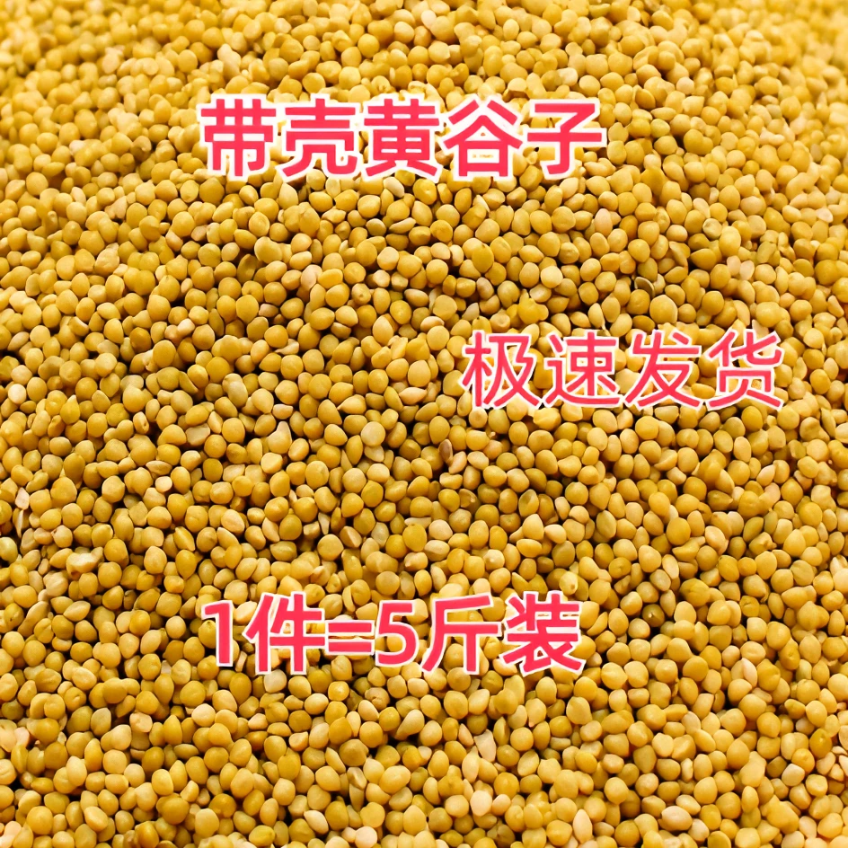 【5斤装】鹦鹉鸟粮鸟食虎皮牡丹玄凤黄谷子带壳啃食小鸟