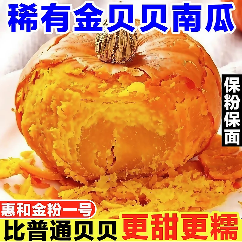 【新疆直发】金瓜金贝贝南瓜软糯细腻儿童辅食营养南瓜