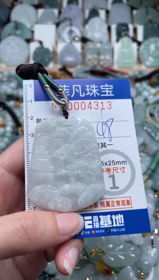翡翠未镶嵌颈饰00..4313