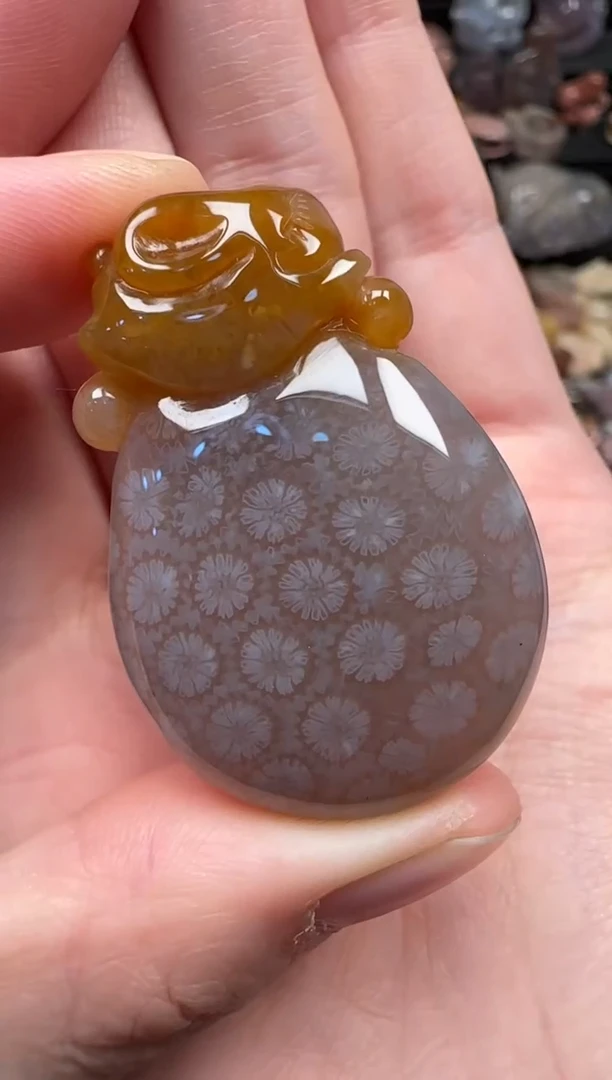 颈饰未镶嵌硅化珊瑚（珊瑚玉）163