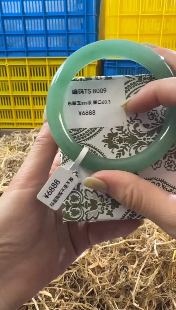 未镶嵌手镯石英质玉8009