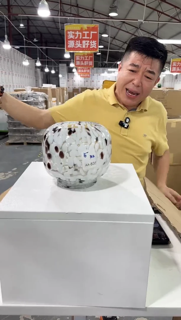 外贸花瓶家居日用019