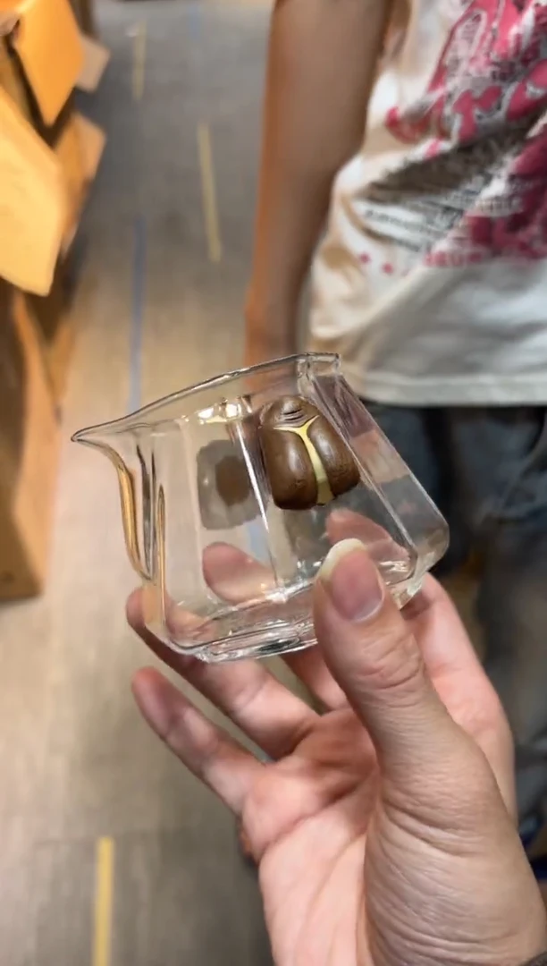 禾器-一鸣茶海-金蝉