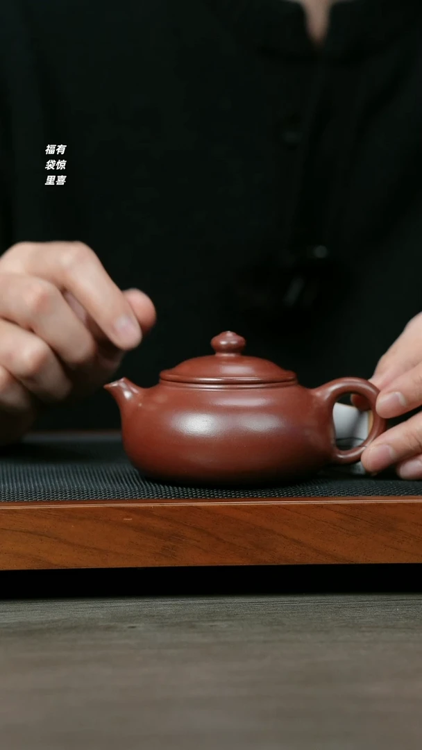 【闪购商品】紫砂茶壶H1326李传荣紫泥寒江
