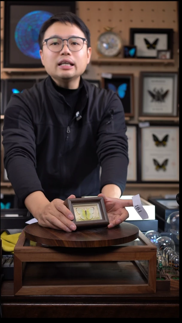 迁粉蝶新款冰箱贴