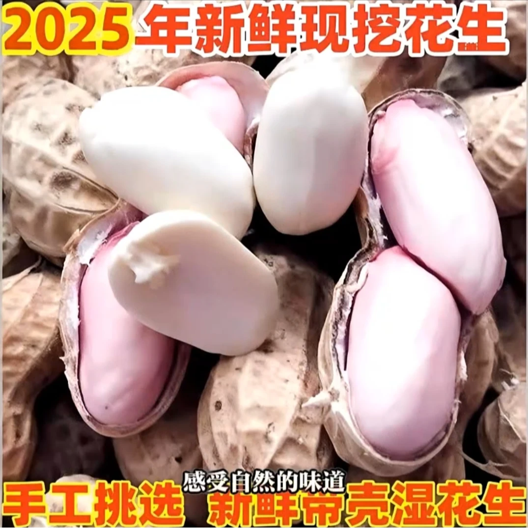 b新鲜现挖带壳湿花生可水煮生吃当季美味农家自种