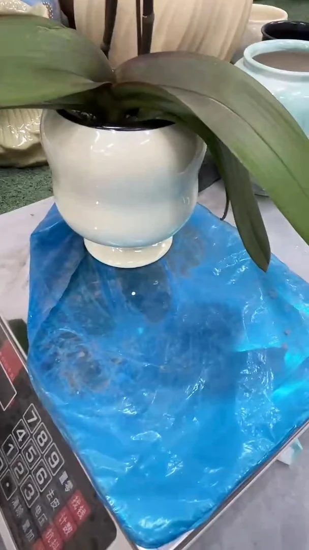 12.3陶瓷花盆直播链接高14.      口9