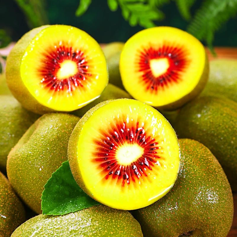 家养盆栽地栽爬藤猕猴桃树苗公母同株