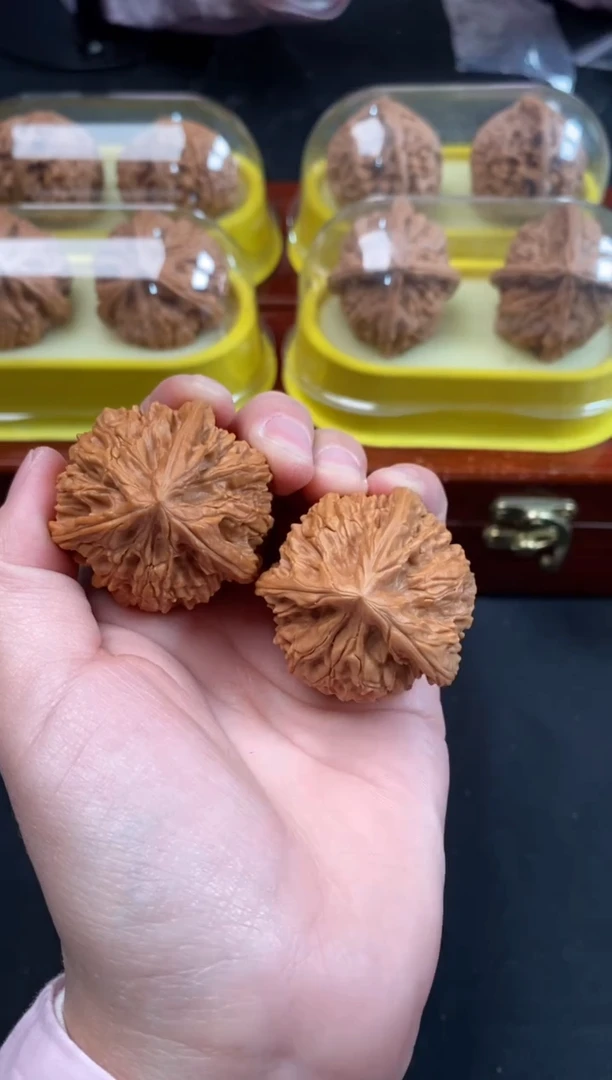 把件文玩核桃文山正奔39尺A460