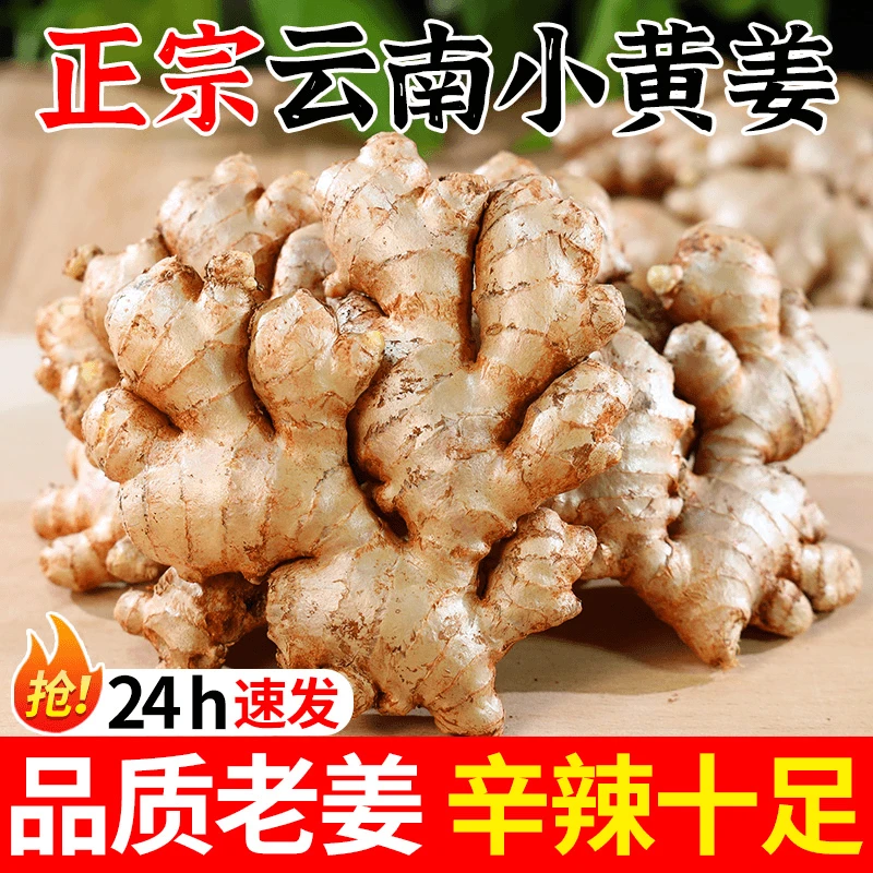 现发【商超老姜】正宗云南小黄姜新鲜现挖老姜整箱批发带泥保鲜发货