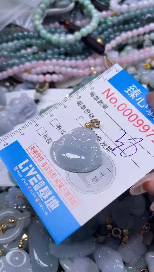 颈饰未镶嵌翡翠9975