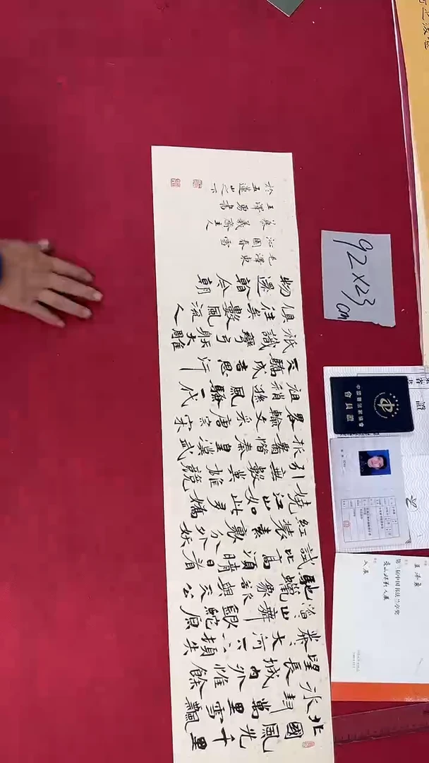 书法王泽勇老师书法作品110