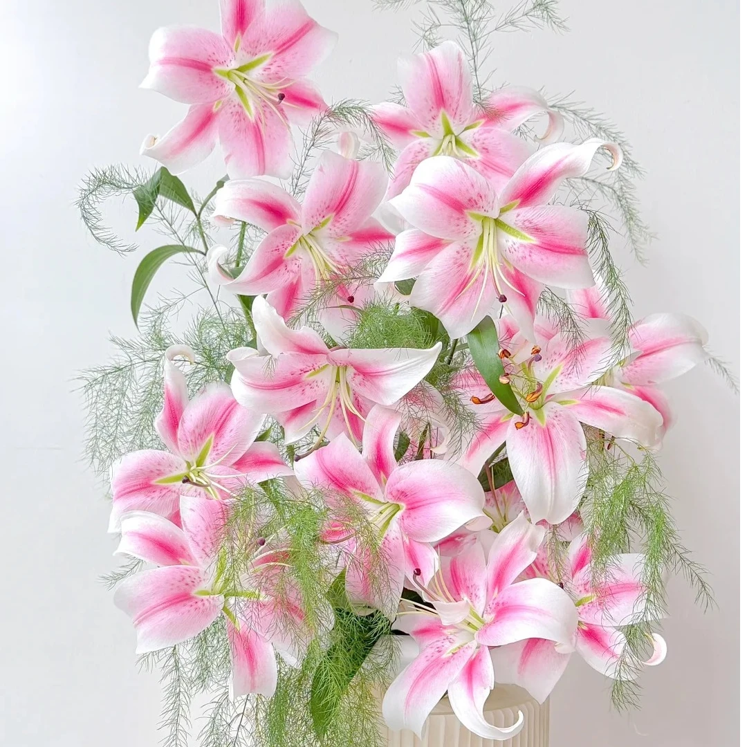 【初恋情人】香水百合云南鲜花一单包邮 发货后不支持退款