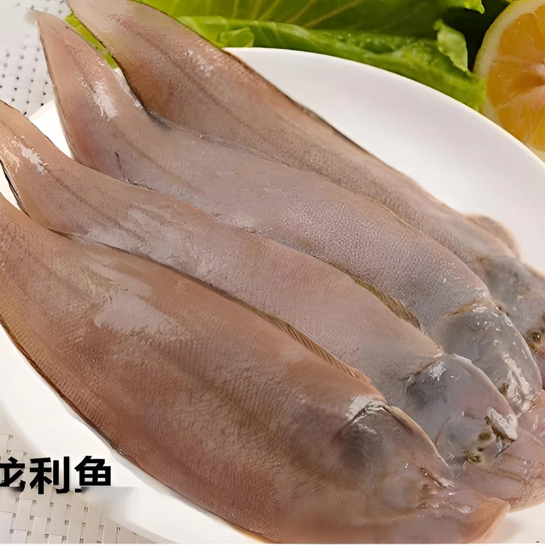 湛江野生海鱼 龙利鱼 大规格 肉质紧实