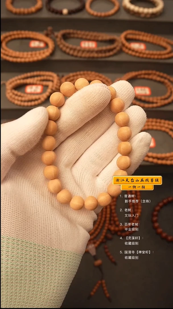 吊坠五线菩提手串