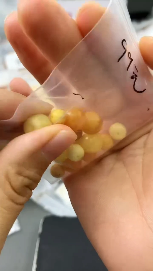 未镶嵌琥珀珠宝奇石115